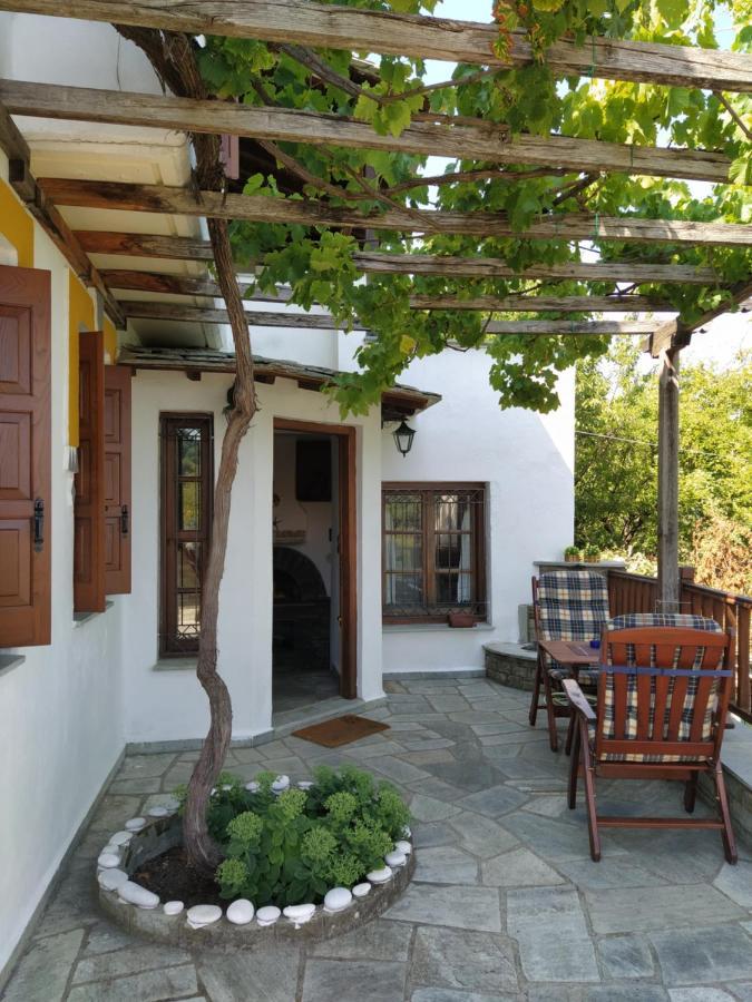 Villa Katerina Tsagkarada Exterior foto