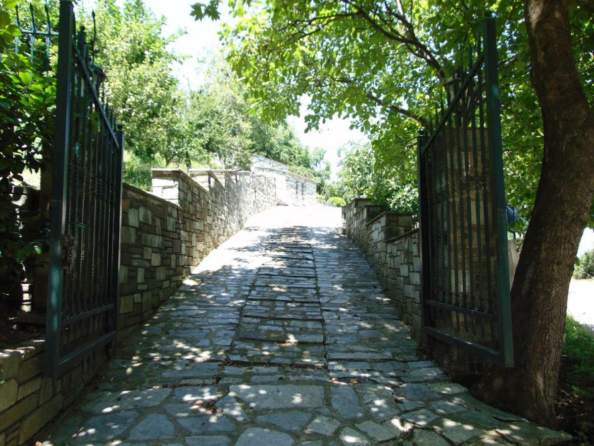 Villa Katerina Tsagkarada Exterior foto